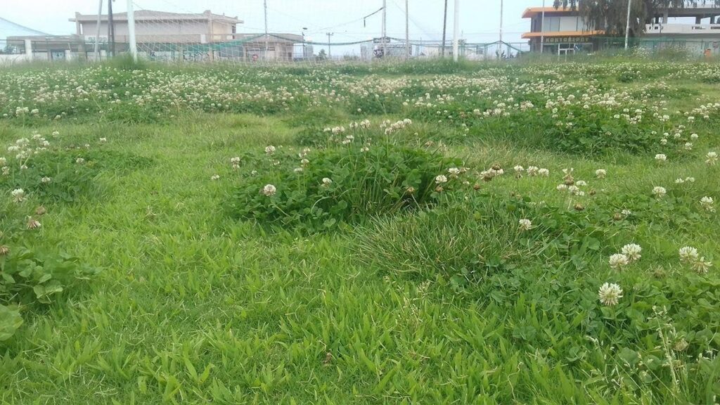 Βαγγέλης Μωραΐτης: «Απελπιστική και άκρως επικίνδυνη η κατάσταση του σταδίου Φιλίνος… κάντε κάτι πριν να είναι αργά»