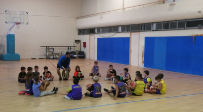 Ξεκινούν αύριο οι προπονήσεις του Φοίβου